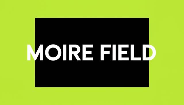 62 MOIRE FIELD：モアレの干渉模様