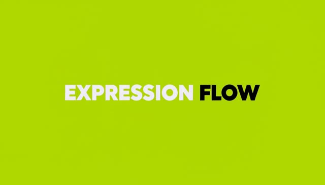 47 EXPRESSION FLOW：表情の連続変化