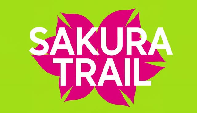 77 SAKURA TRAIL：軌跡から桜の花びらへ